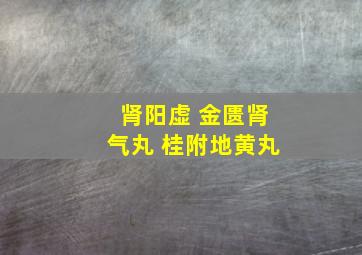 肾阳虚 金匮肾气丸 桂附地黄丸